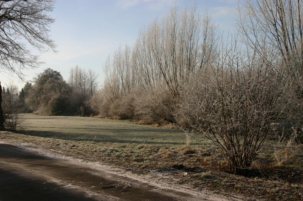 frostige Ökozone Im Winkel.JPG - frostige Ökozone / Kamen-Methler,Im Winkel